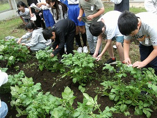 DSCF0453