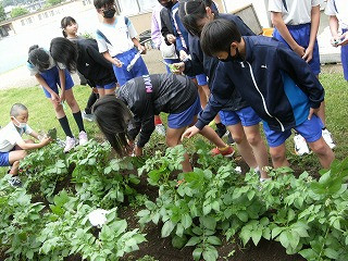 DSCF0472