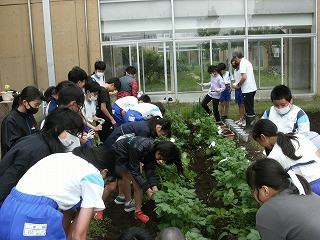 DSCF0473