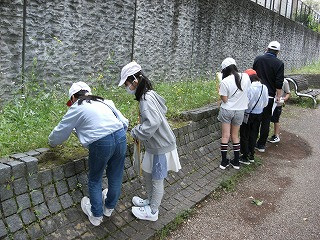 DSCF0478