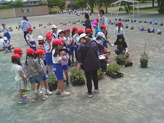 DSCF0348