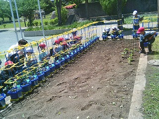 DSCF0639