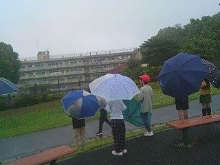 DSCF0312