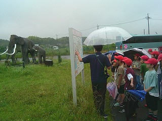 DSCF0345