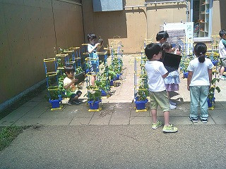 DSCF0827