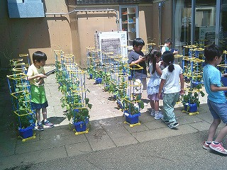 DSCF0828