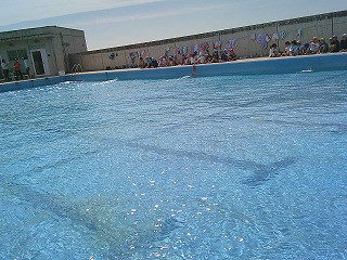 DSCF0217