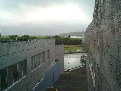 DSCF0342