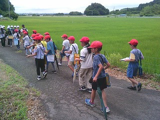 DSCF0552