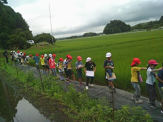 DSCF0601