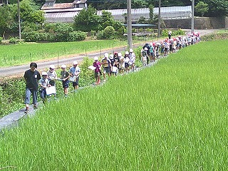 DSCF0602