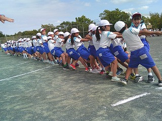 DSCF0382