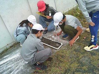DSCF0304