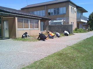 DSCF0233