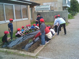 DSCF0539
