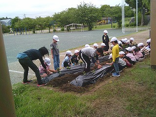 DSCF0541