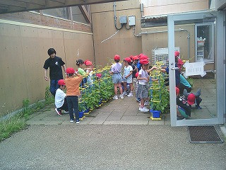 DSCF0249
