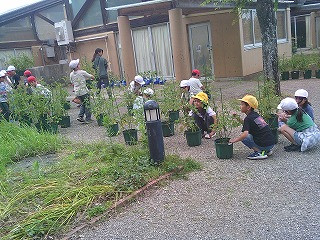 DSCF0356
