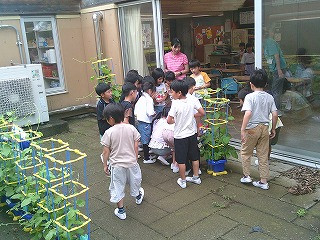 DSCF0563