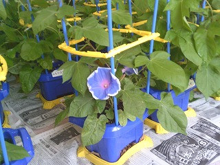 DSCF0585