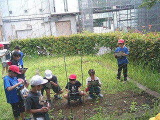 DSCF0538