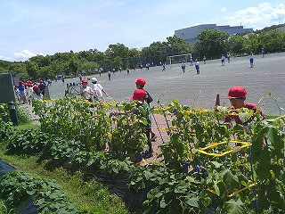DSCF0559