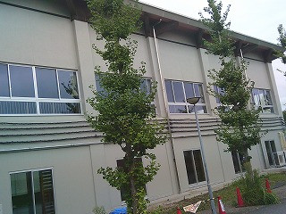 DSCF0236