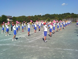 DSCF0354